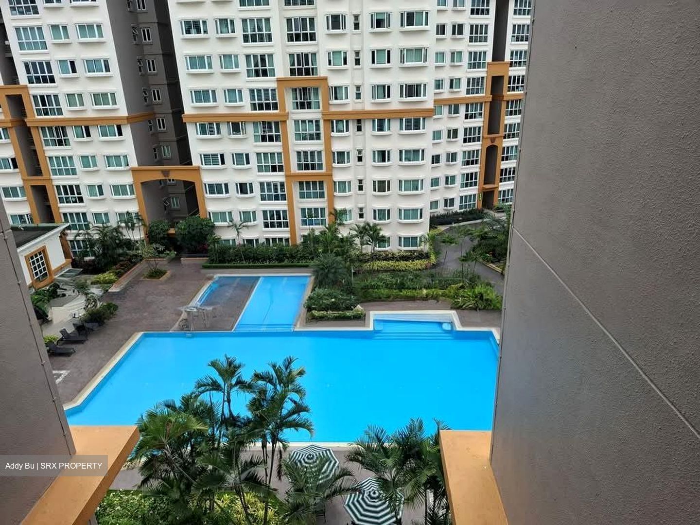 Evergreen Park (D19), Apartment #579861431